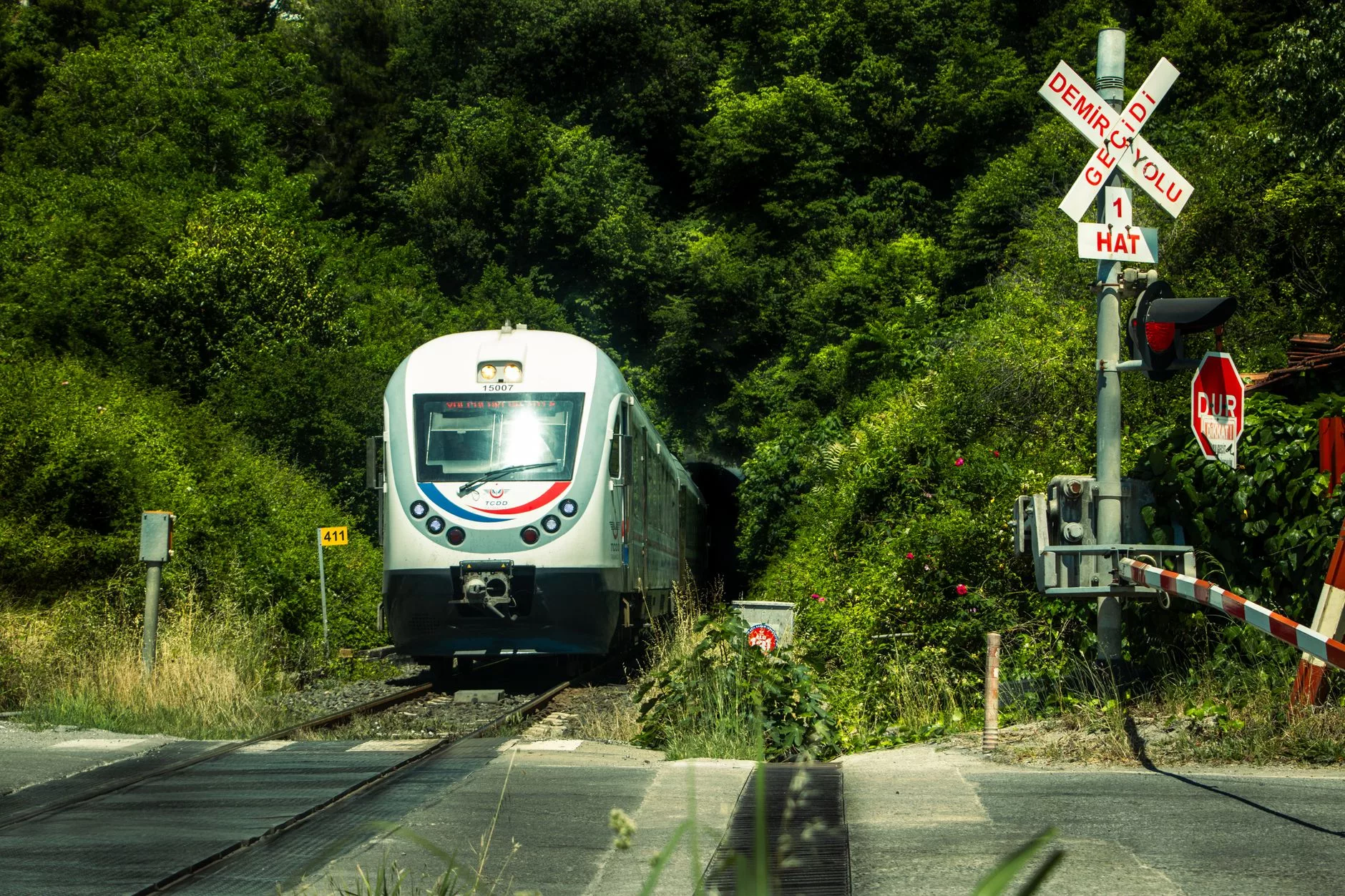 Tren penceresinden izlenen yeşil bir vadi veya sahil yolu